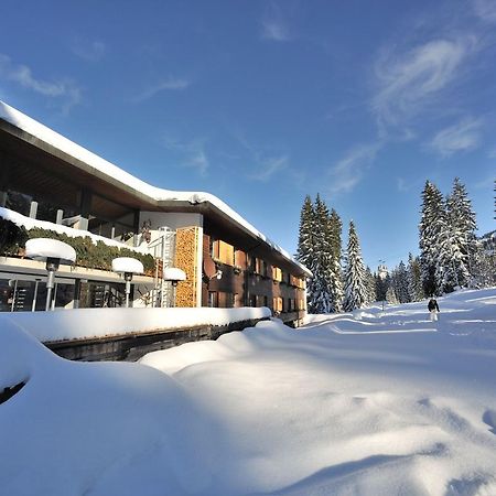 Saanewald Lodge Saanenmöser Buitenkant foto