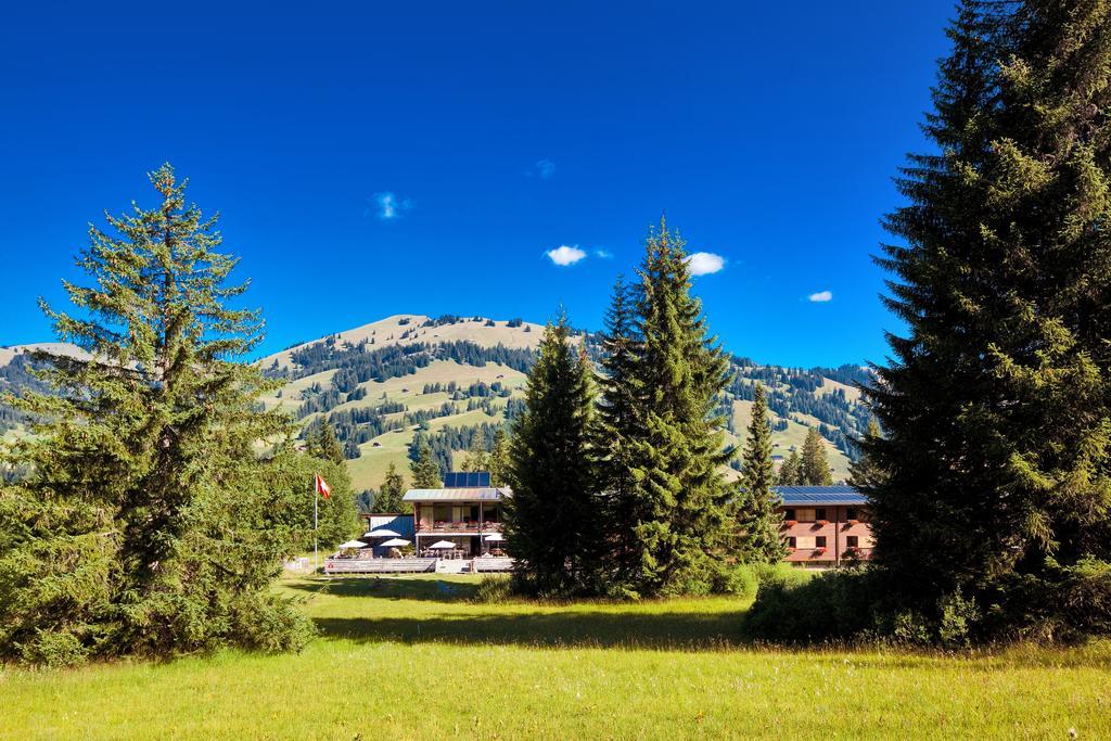 Saanewald Lodge Saanenmöser Buitenkant foto
